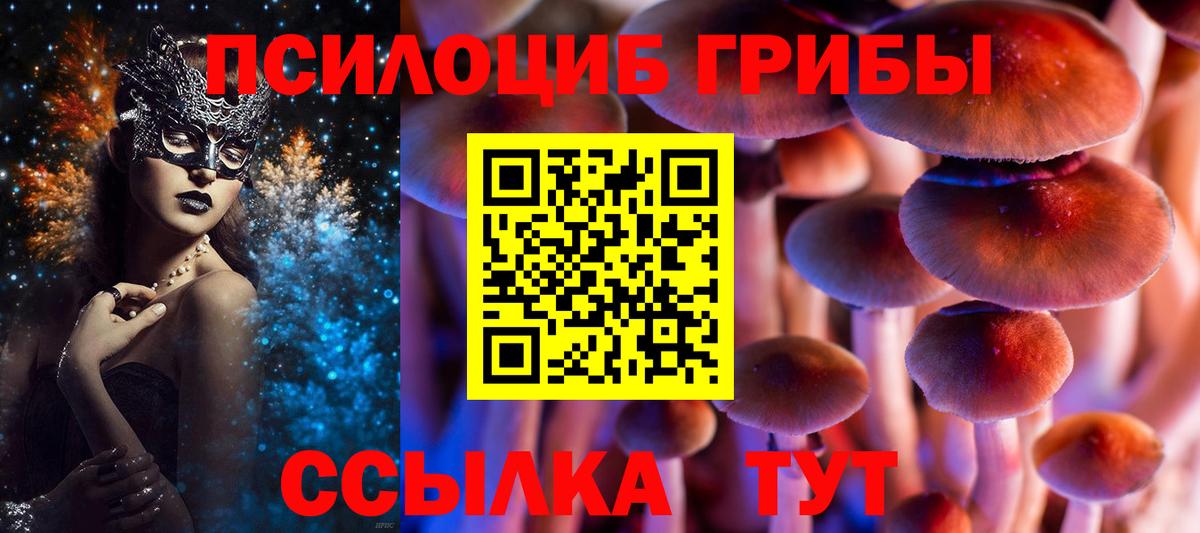 Галлюциногенные грибы Magic Shrooms  Вход с VPN  Североморск 