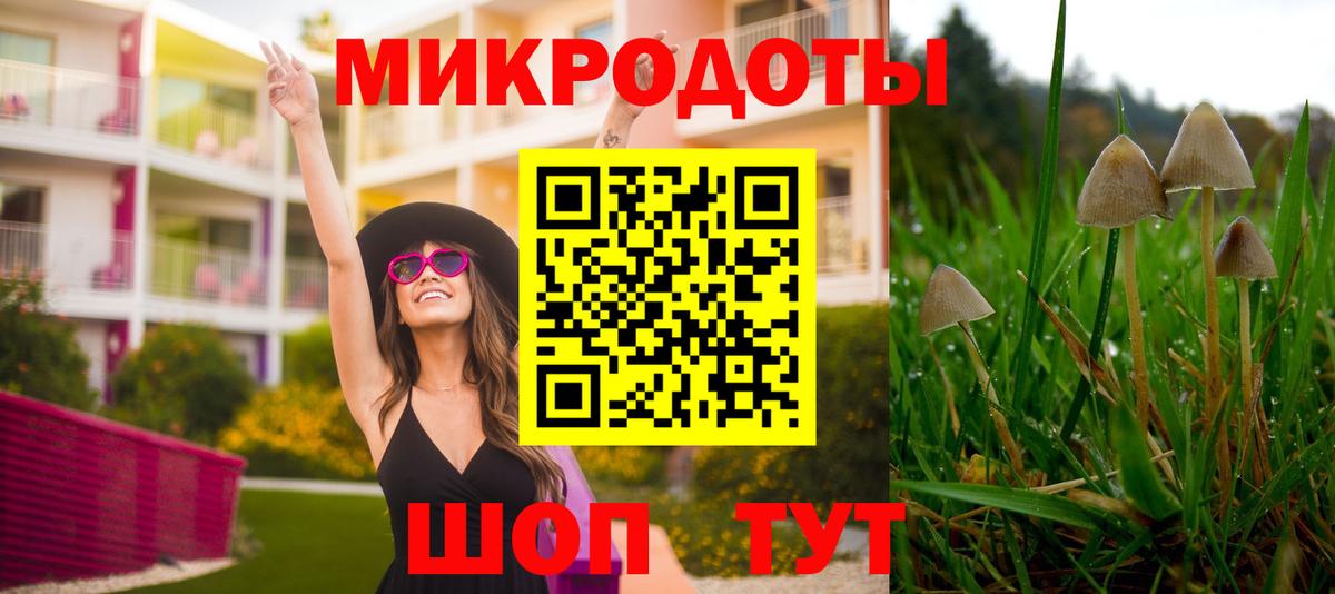 Галлюциногенные грибы GOLDEN TEACHER Североморск